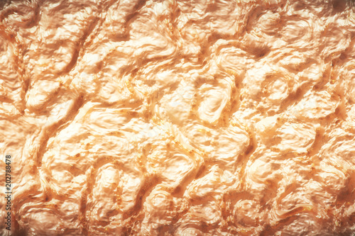 Close-up of wrinkles in senior citizen's skin,wrinkle fleshcolor abstract background. photo