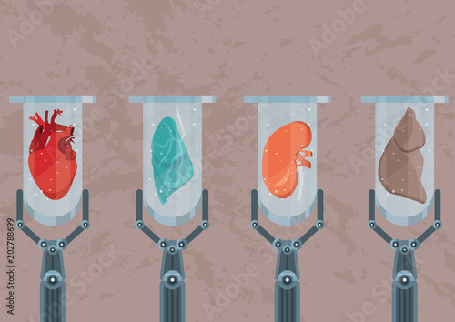 Synthetic lab-grown human organs. Future of medicine and transplantation. Test tubes with heart, kidney, lung and hepar