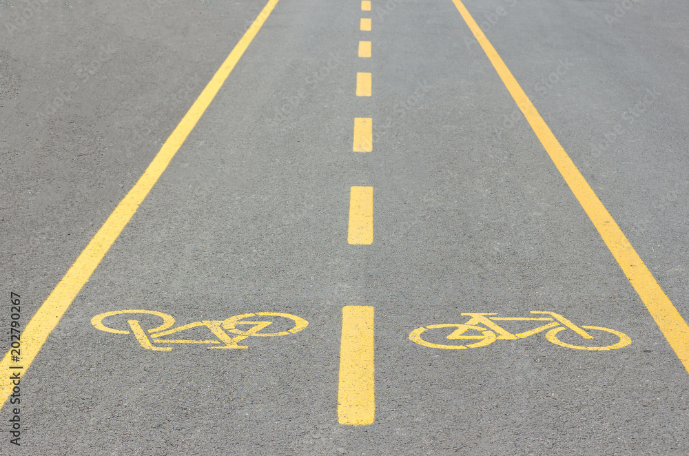 Bicycle track in Park Bicycle track in Park