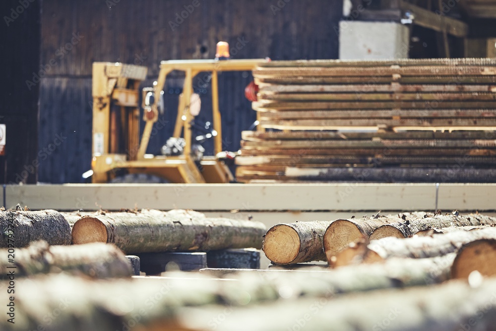 Fotografie Timber at the sawmill