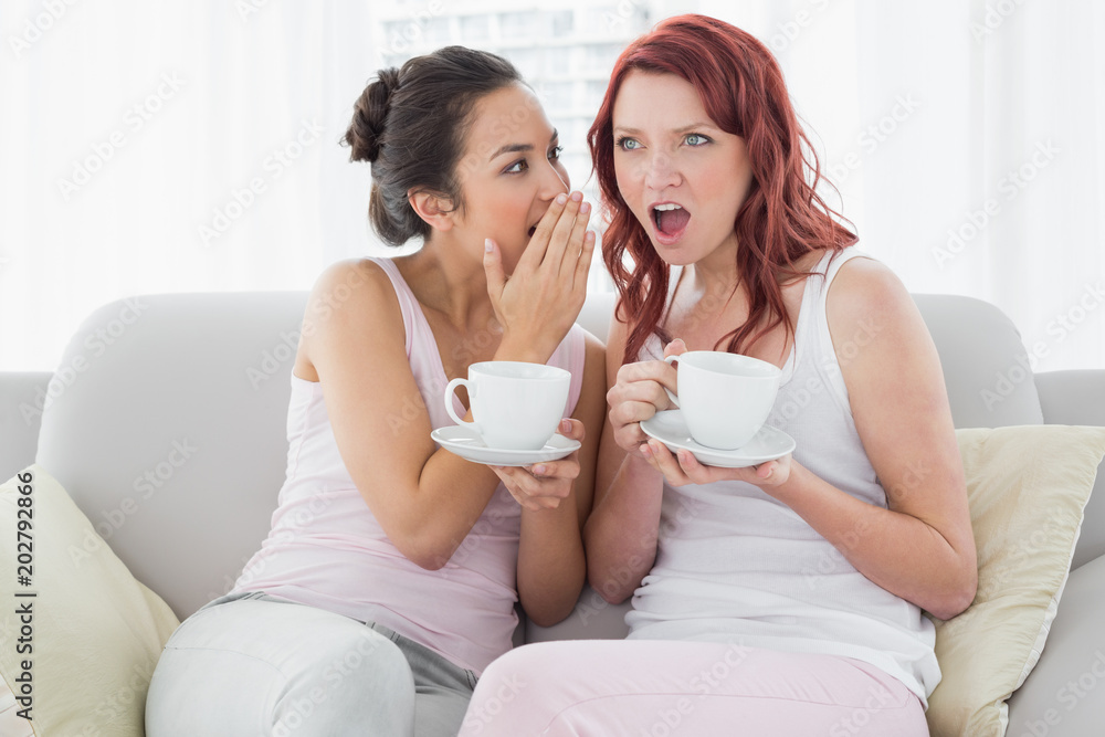 Female friends with coffee cups gossiping in living room Female friends with coffee cups gossiping in living room