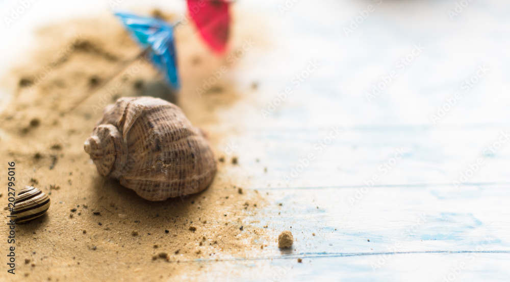 Beach summer background. Umbrellas on a pacifier on a wooden background with a shell Beach summer background. Umbrellas on a pacifier on a wooden background with a shell