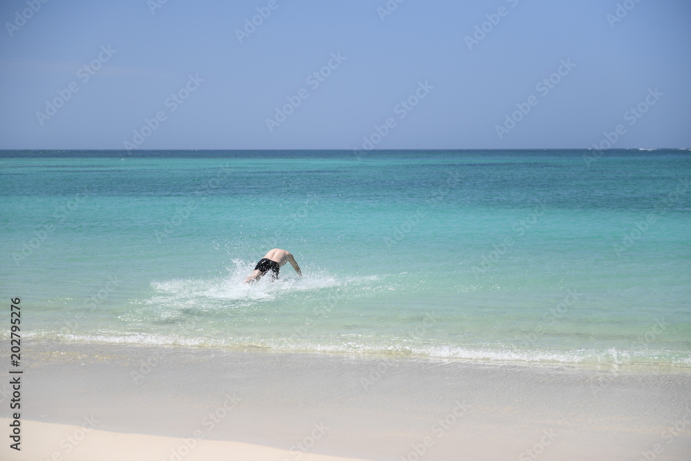 Dive into the sea Dive into the sea