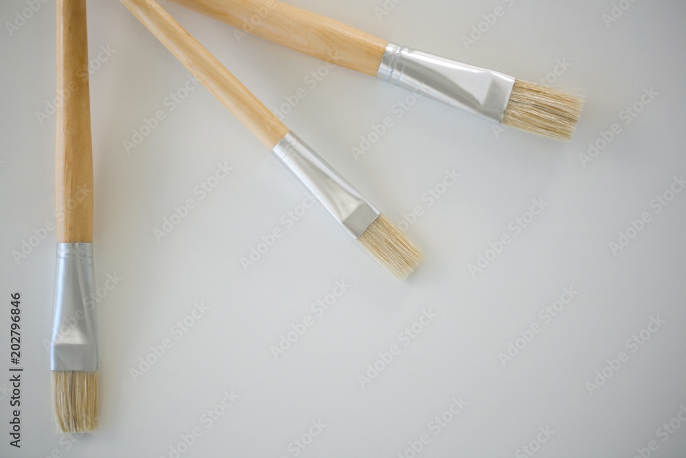 Fototapeta premium Paintbrushes arranged on white background