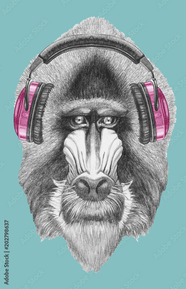Naklejka premium Portrait of Mandrill with headphones, hand-drawn illustration