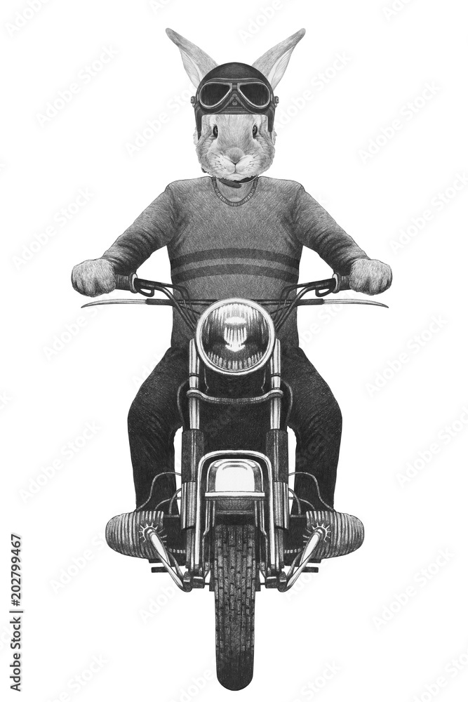 Fotografie Rabbit rides motorcycle,  hand-drawn illustration