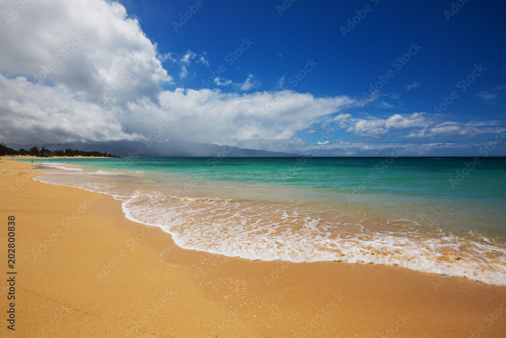 Fototapeta premium Hawaiian beach