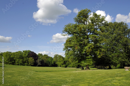 schlosspark worms-herrnsheim © lotharnahler