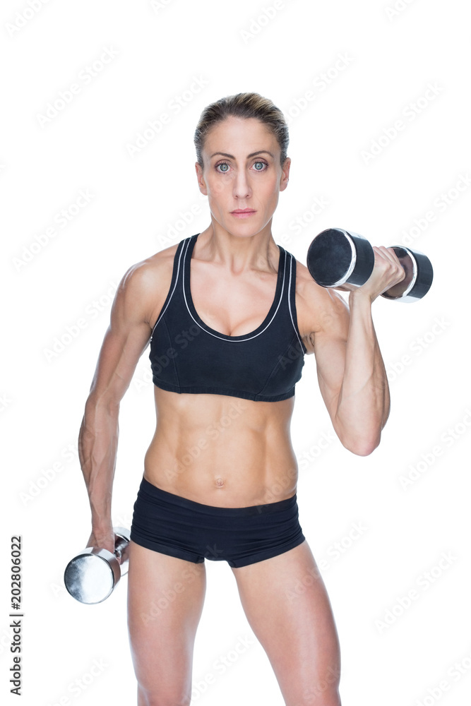 Female bodybuilder working out with large dumbbells looking at camera Female bodybuilder working out with large dumbbells looking at camera