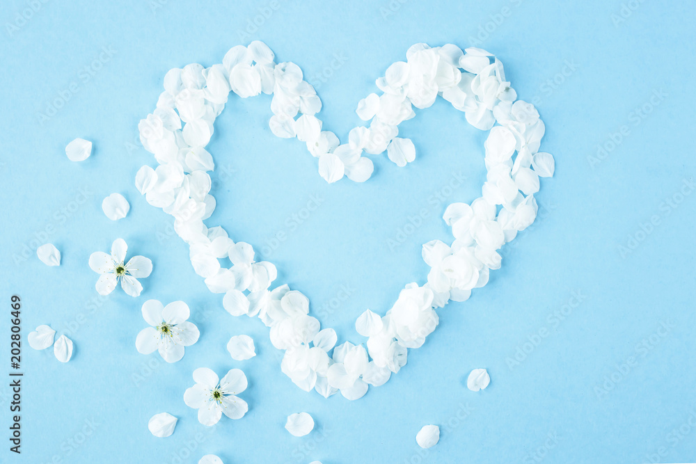 The white petals of spring flowers are lined in the form of a heart. I love the spring concept. Top view, flat lay The white petals of spring flowers are lined in the form of a heart. I love the spring concept. Top view, flat lay