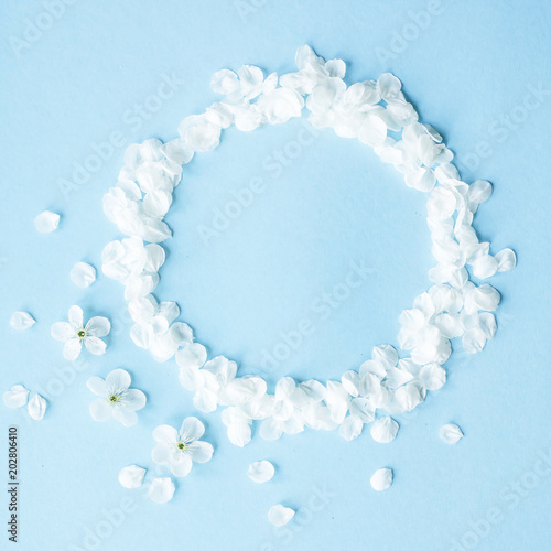 White spring flowers petals are lined up on a blue background. Copyspace. Top view, flat lay © svitlini