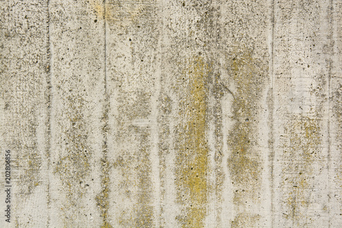 muro in cemento 3