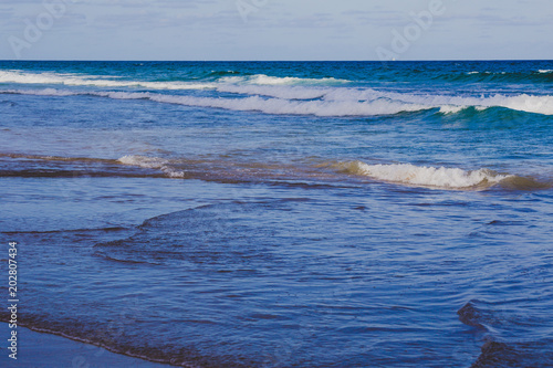 the beach and landscape in Surfers Paradise on the Gold Coast