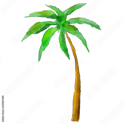 Watercolor palm tree