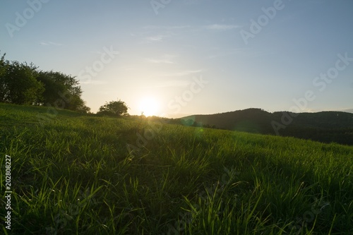 Sunset on meadow with hills and tree. Slovakia