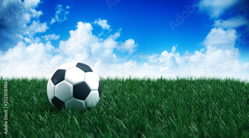 Fußball liegt auf grüner Wiese © XtravaganT