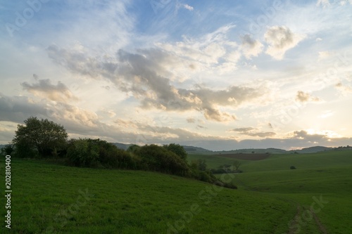 Sunset on meadow with hills and tree. Slovakia © Valeria