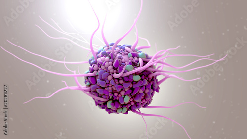 Dendritic cell photo