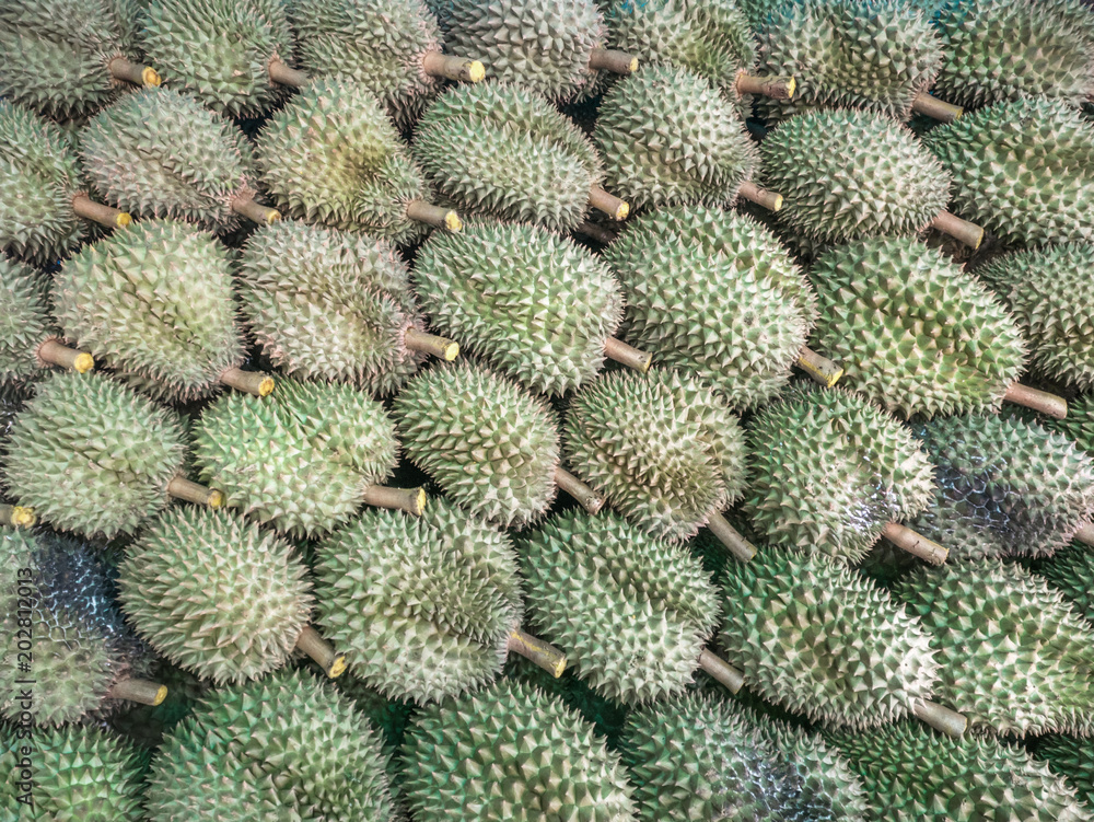 Durian cut from the beginning to sell will be stacked to save space on the back of the pickup truck. Durian cut from the beginning to sell will be stacked to save space on the back of the pickup truck.