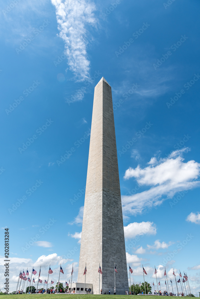 Washington Monument in Summer (Washington D.C.)