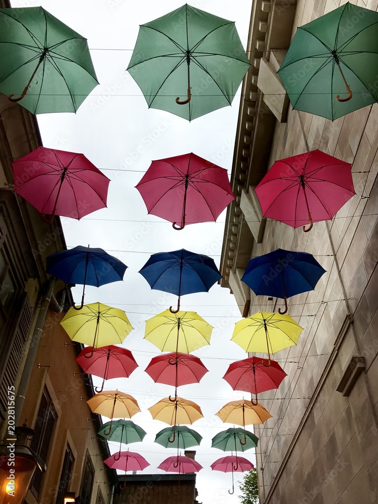 Obraz premium Bunte Regenschirme