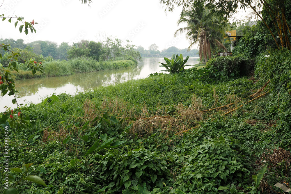 next to the river stay close to the nature next to the river stay close to the nature