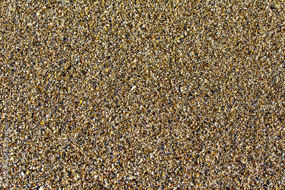 Top view of sandy beach. Background with copy space and visible sand texture.
