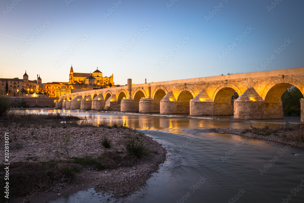 Φωτογραφία Night view of Mezquita-Catedral and Puente Romano - Mosque-Cathedral and the Rom