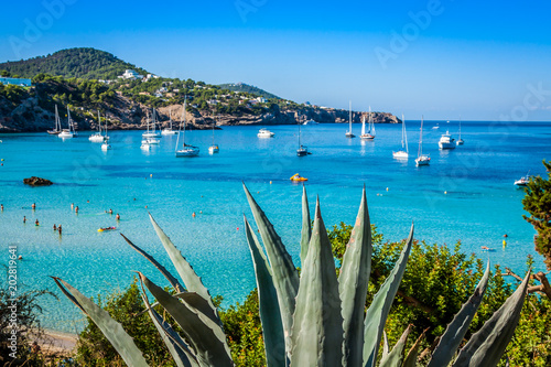 Obraz na płótnie Cala Tarida in Ibiza beach San Jose at Balearic Islands w salonie