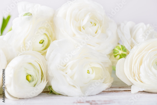 Bouquet of White Ranunculus Buttercup Flowers