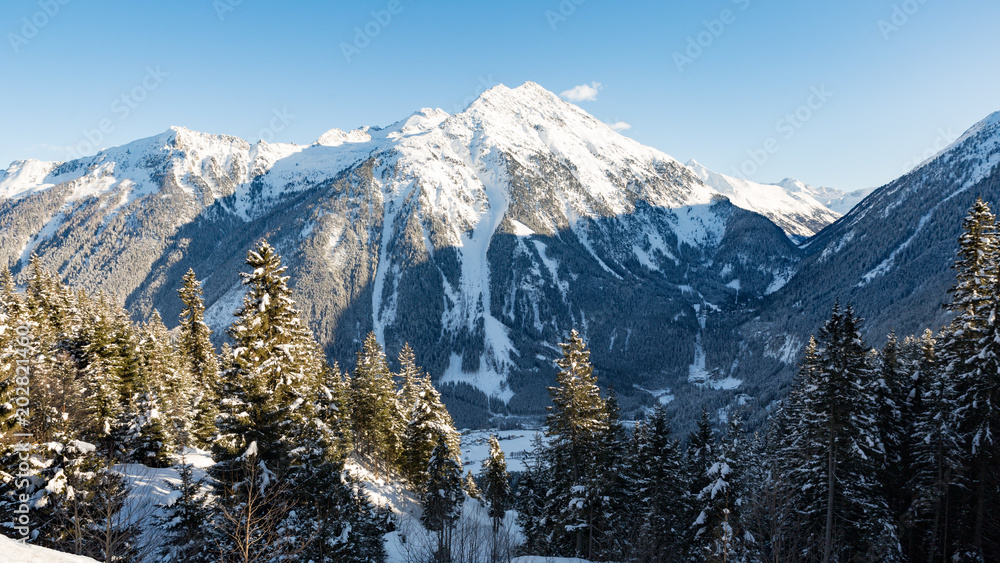 alpine summits in winter