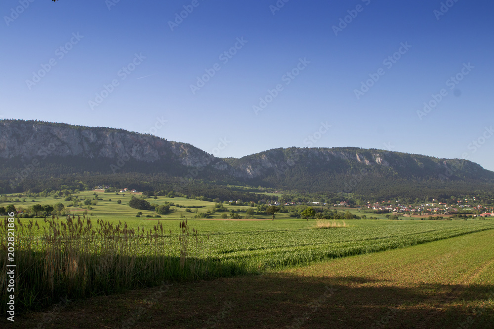 Landschaft Österreich