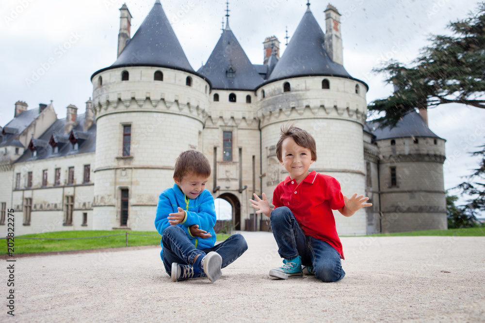 Φωτογραφία Cute portrait of two children, cute boy brothers in Chaumont castle