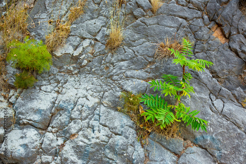 Scenic rocks background photo