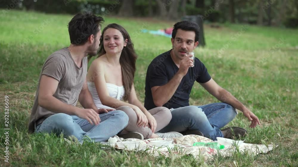 youth, carefree, happiness- Friends have a picnic at the park youth, carefree, happiness- Friends have a picnic at the park