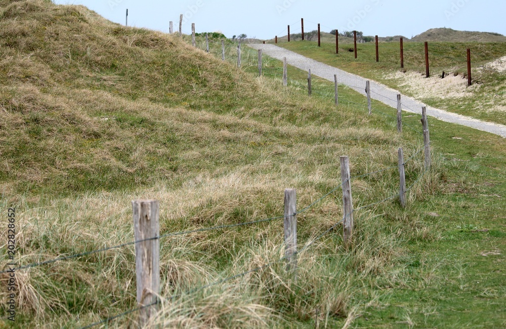 Fototapeta premium Landschaften hinter den Dünen