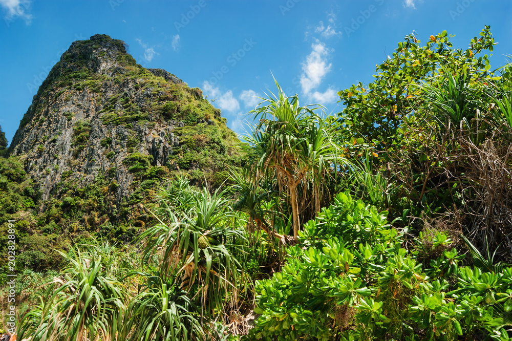The island of phi phi leh Krabi, Thailand The island of phi phi leh Krabi, Thailand
