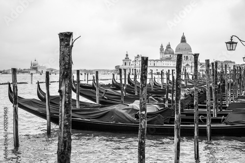 Gondolas and Santa Maria della Salute © Roman Sigaev