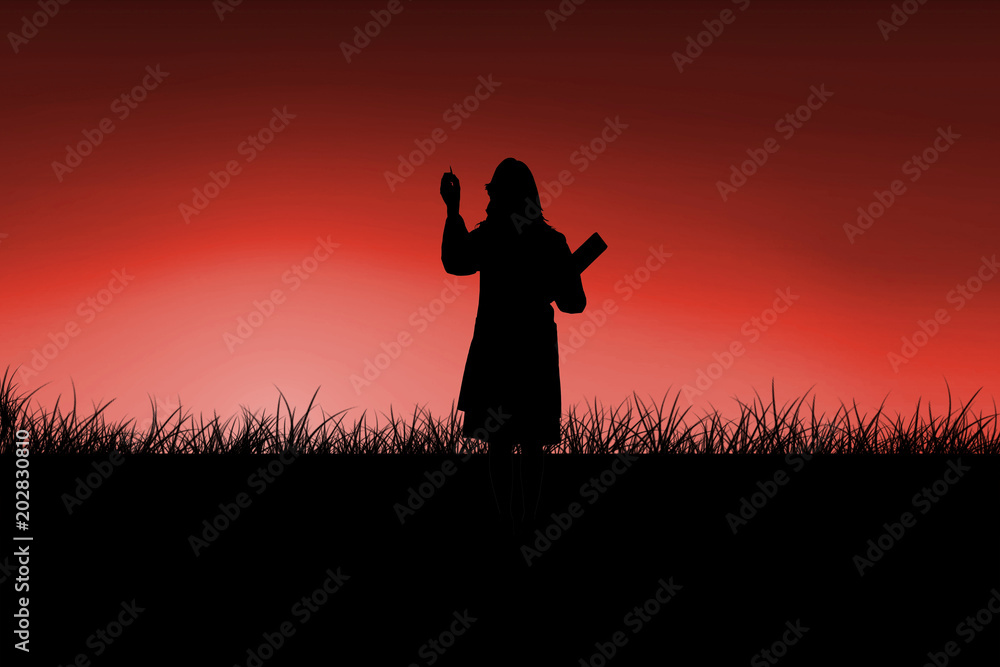 Silhouette of doctor pointing with pen against red sky over grass