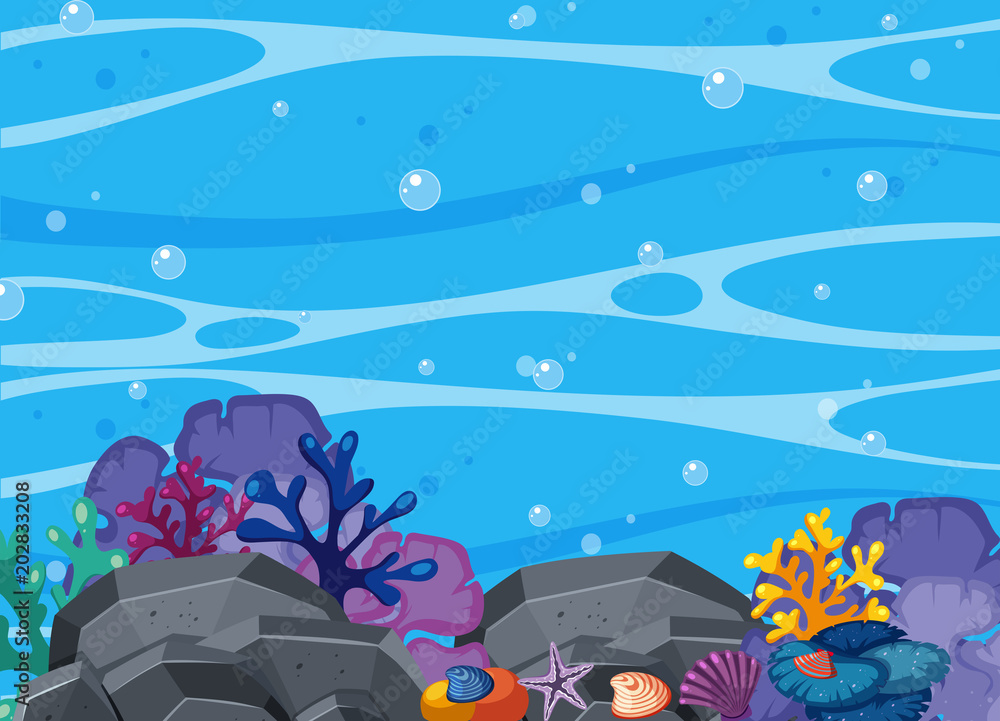 Fotografie Beatiful Coral and Underwater Scene