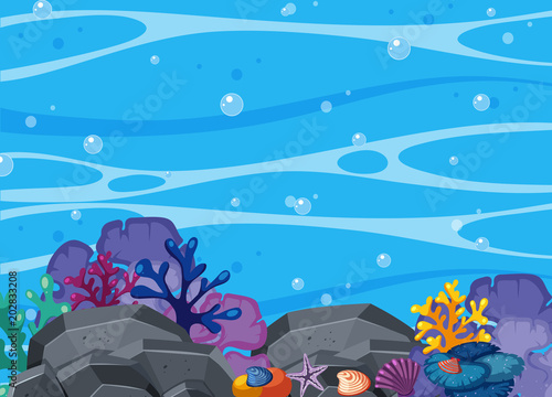 Beatiful Coral and Underwater Scene