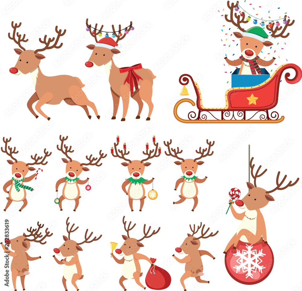 Fotografie Reindeer in Different Action on White Background