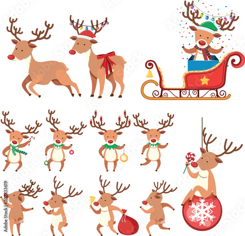 Reindeer in Different Action on White Background