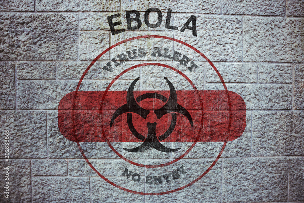 Ebola virus alert against grey brick wall Ebola virus alert against grey brick wall