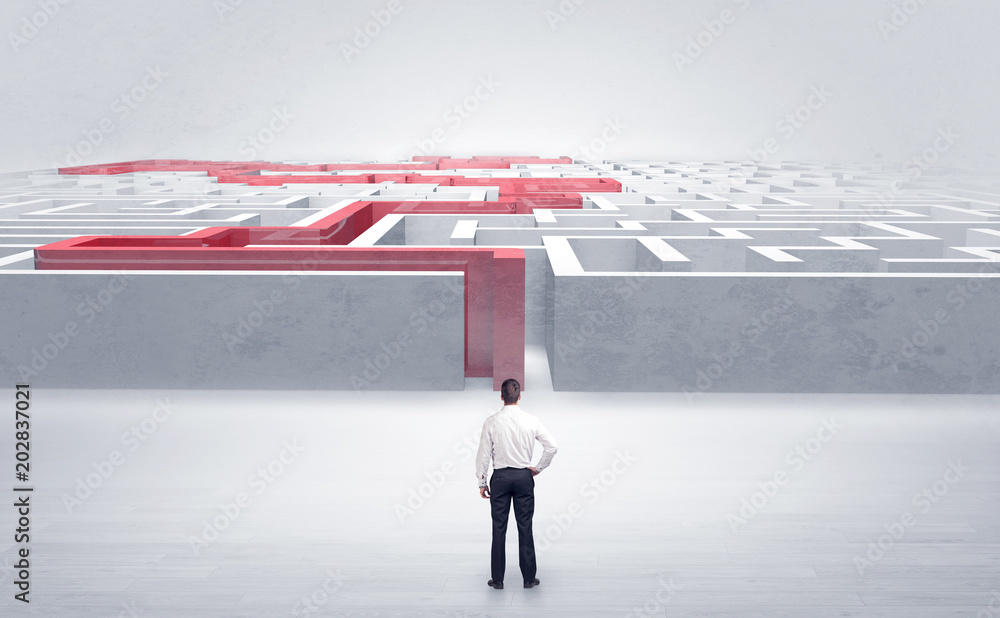 Εκτύπωση καμβά Businessman getting ready to enter the labyrinth with stated road concept