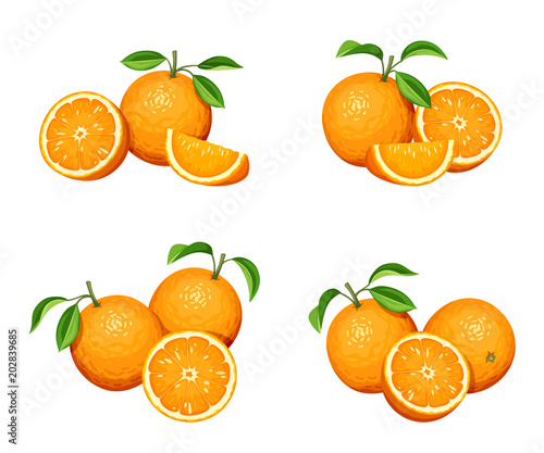 Vector set of orange fruit isolated on a white background.