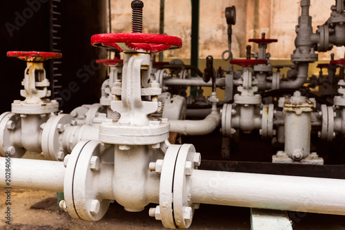 Old valve control of water supply in the plant system.blur background selective focus.