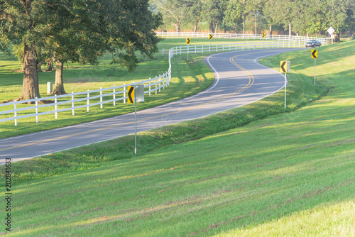 Winding road, grassy lawn with white country style wooden fence. White fences on green lush oak trees at farm ranch land field in Louisiana, USA. Car driving through photo