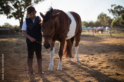 Boy holding the reins of a horse in the ranch © WavebreakmediaMicro