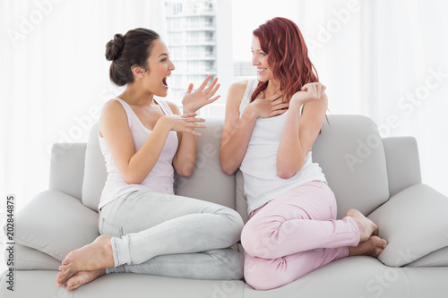 Relaxed female friends chatting in the living room © WavebreakmediaMicro